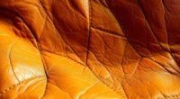 leather aging process explained