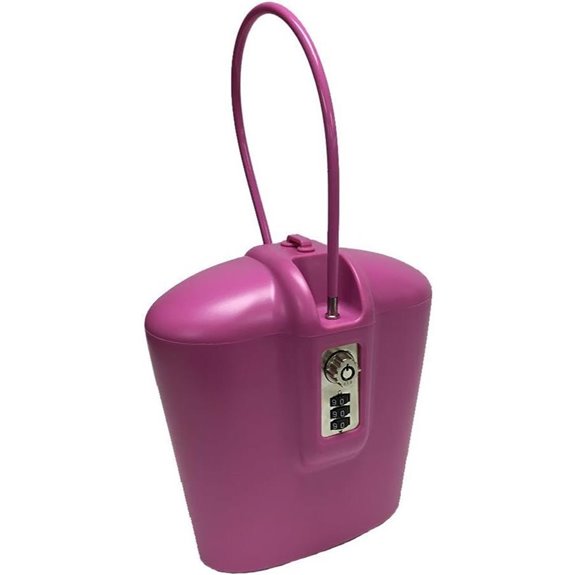 SAFEGO Portable Lock Box with Key & Combo (Pink)