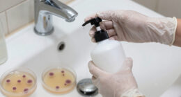 Pluralibacter Gergoviae Shampoo Contamination